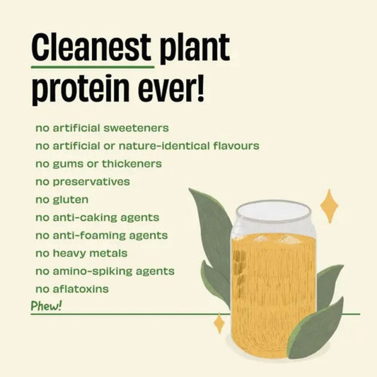 The Whole Truth Pista Badaam Plant Protein Powder – 24g Protein Per Serving | Vegan | No Added Sugar | 1kg Pack